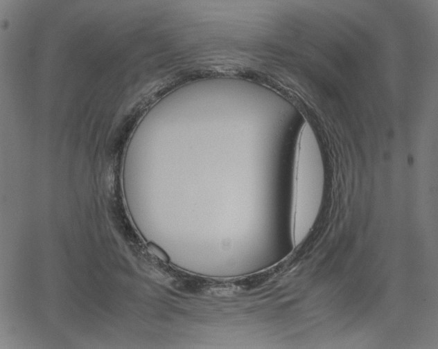 X0000066100595200603100940