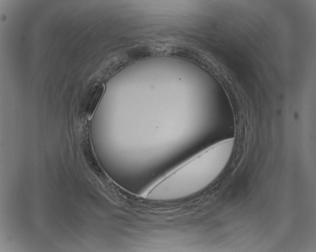 X0000066100601200603100940