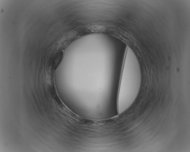 X0000066100604200603100940