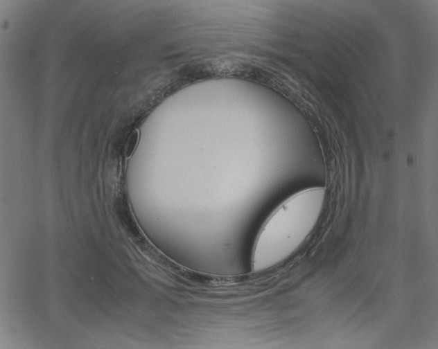 X0000066100605200603100940