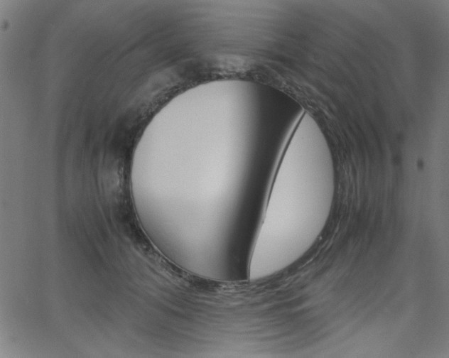 X0000066100608200603100940