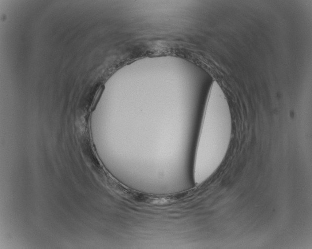 X0000066100611200603100940
