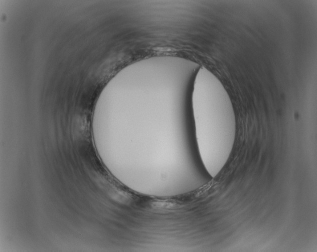 X0000066100614200603100940