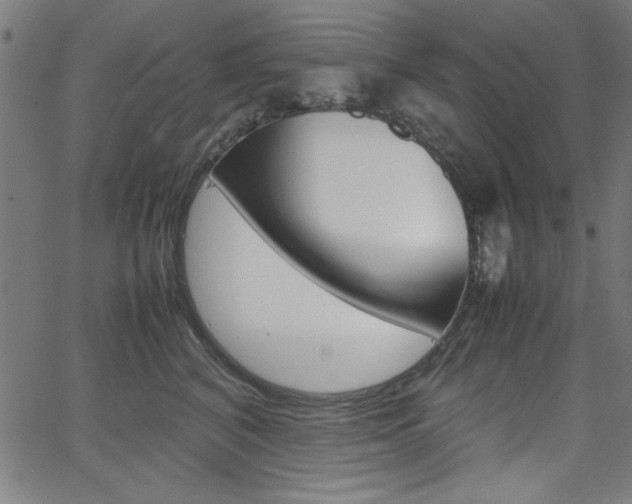 X0000066100616200603100940
