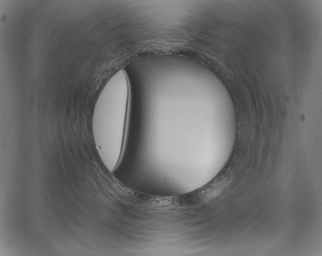 X0000066100624200603100940