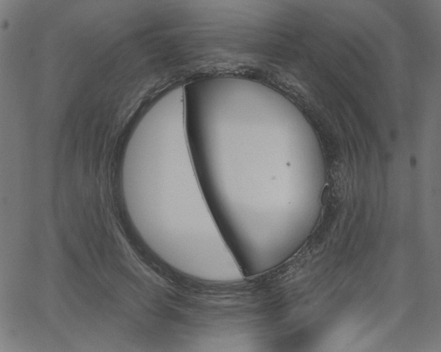 X0000066100642200603100939
