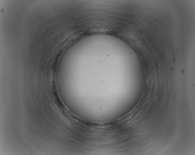X0000066100647200603100939