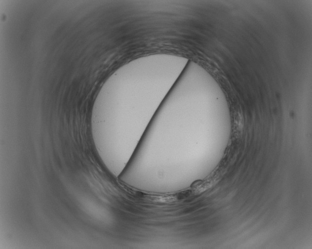 X0000066100663200603100940