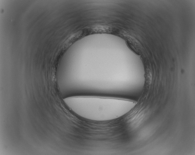 X0000066100665200603100940