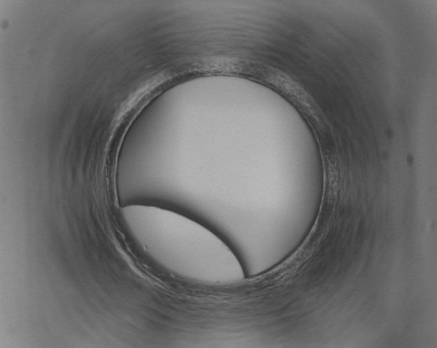 X0000066100674200603100939