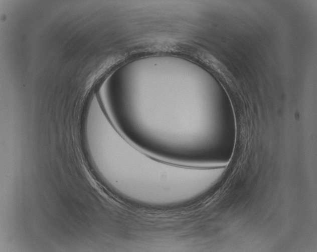 X0000066100677200603100939