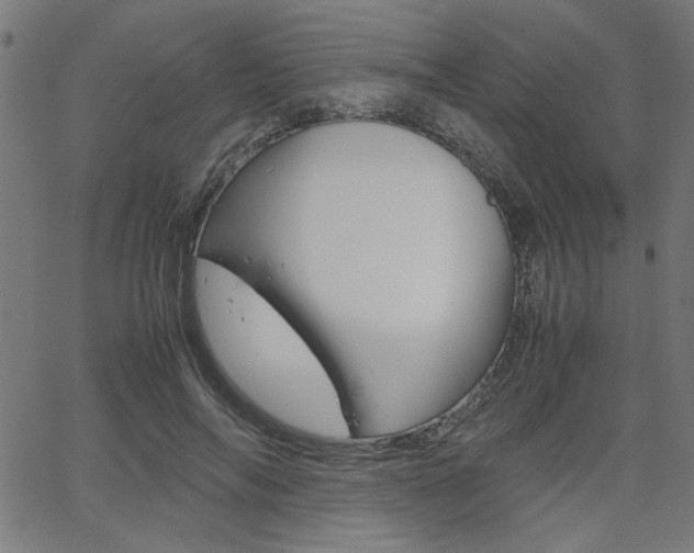 X0000066100694200603100939