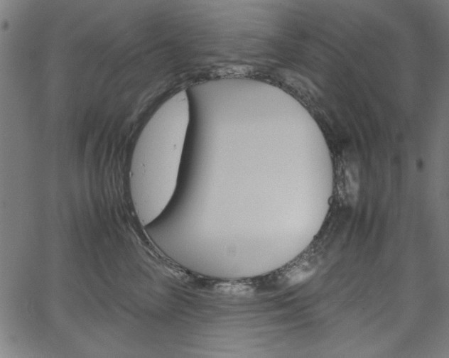 X0000066100714200603100938