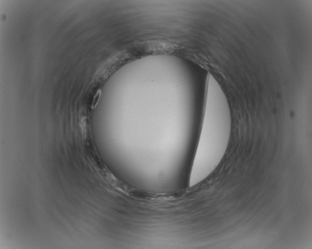 X0000066100716200603100938