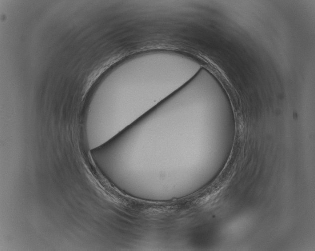 X0000066100725200603100938