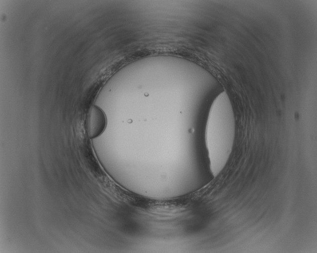 X0000066100746200603100938