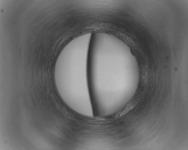 X0000066100758200603100938