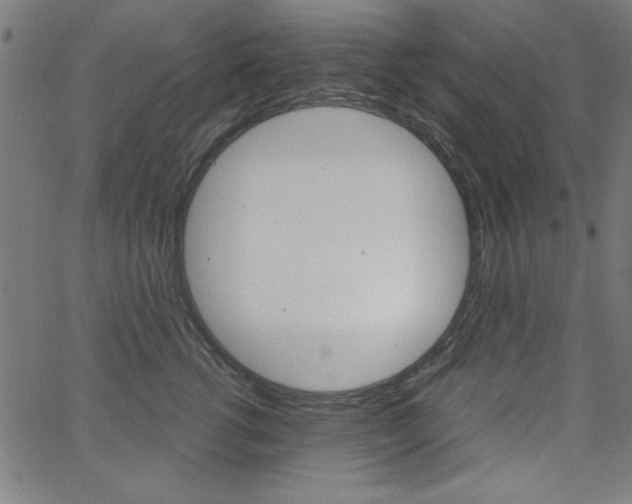 X0000066100762200603100938