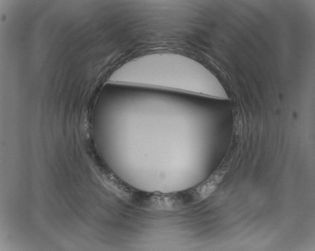 X0000066100764200603100938