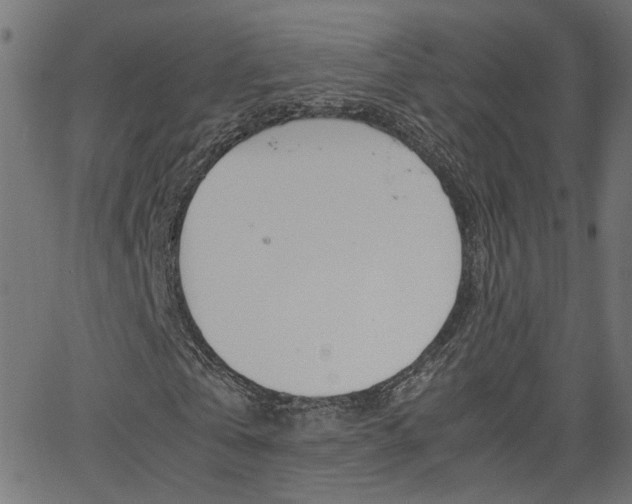 X0000066100769200603100937