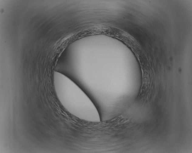 X0000066100773200603100937