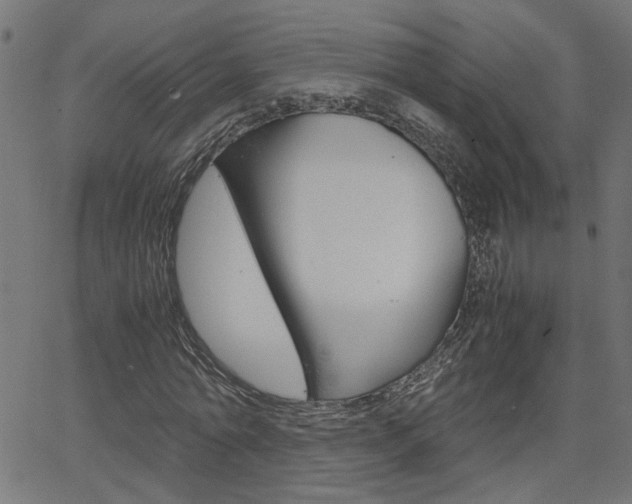 X0000066100774200603100937