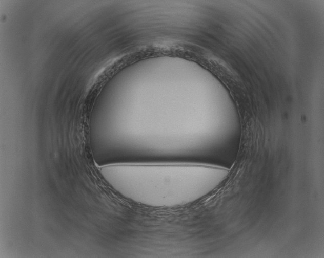 X0000066100776200603100937