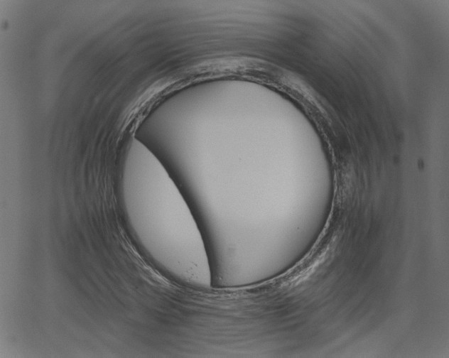X0000066100778200603100937
