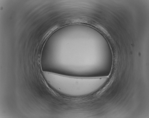 X0000066100793200603100937