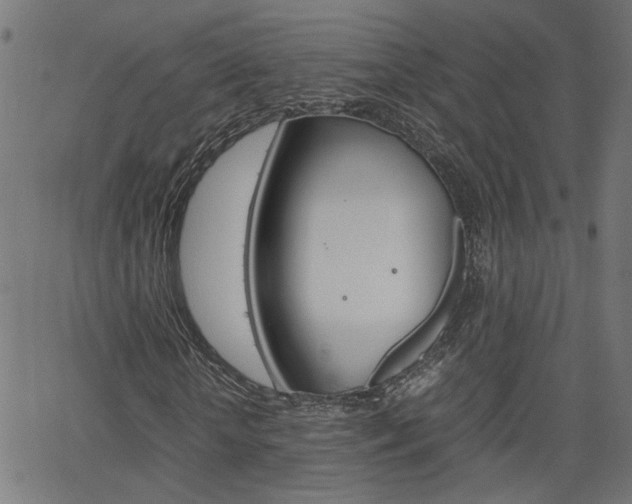 X0000066100818200603100936