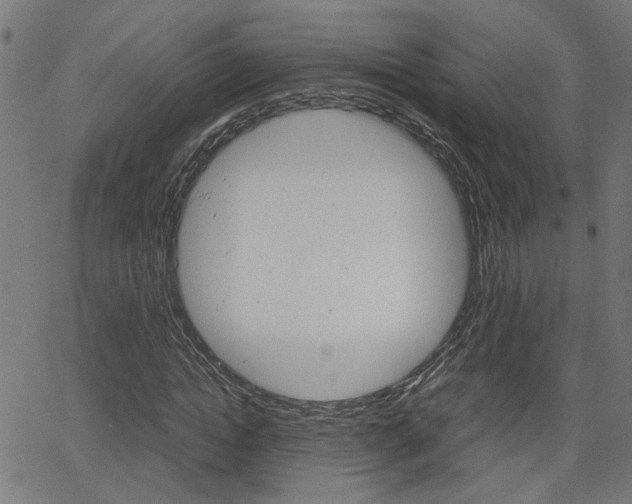 X0000066100822200603100936