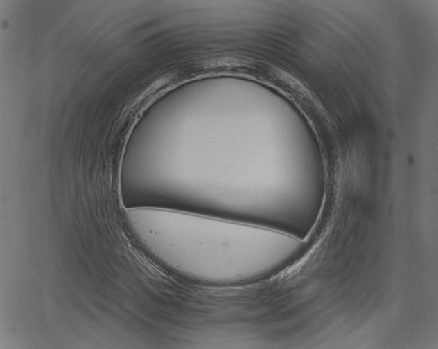 X0000066100825200603100936