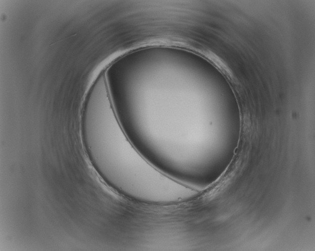 X0000066100854200603100937