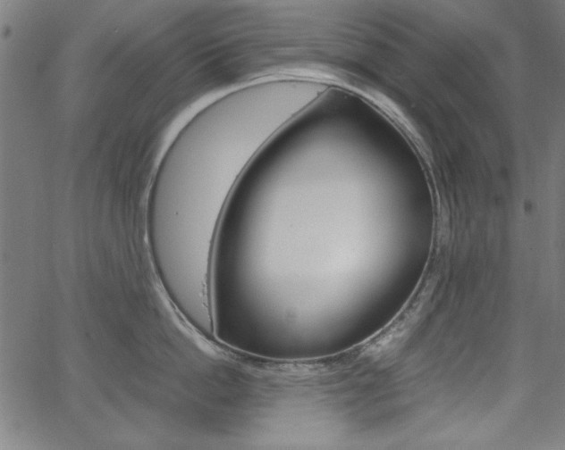 X0000066100862200603100937