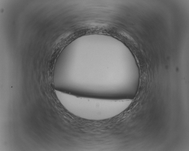 X0000066100869200603100936