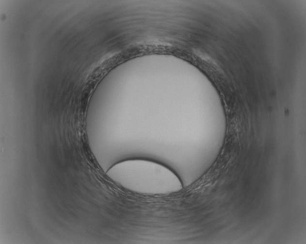 X0000066100870200603100936