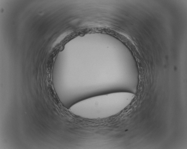 X0000066100871200603100936