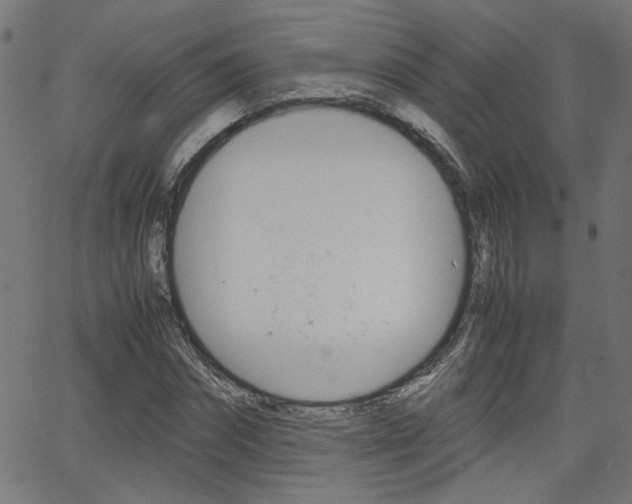 X0000066100874200603100936