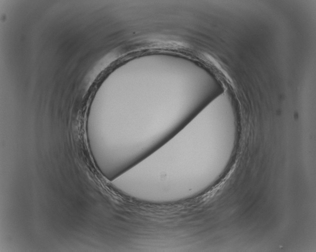 X0000066100875200603100936