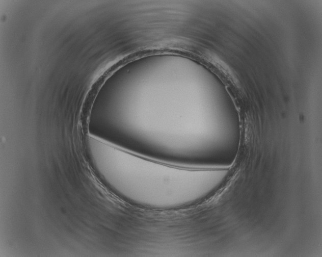 X0000066100876200603100936