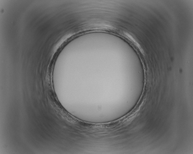 X0000066100883200603100936