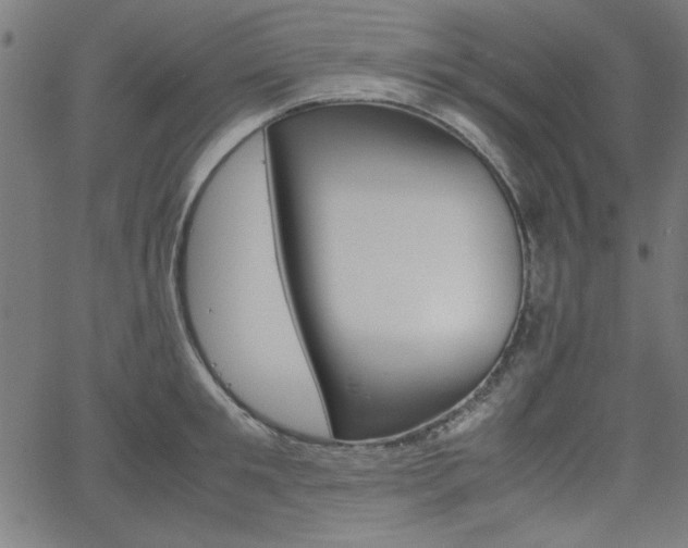X0000066100901200603100935