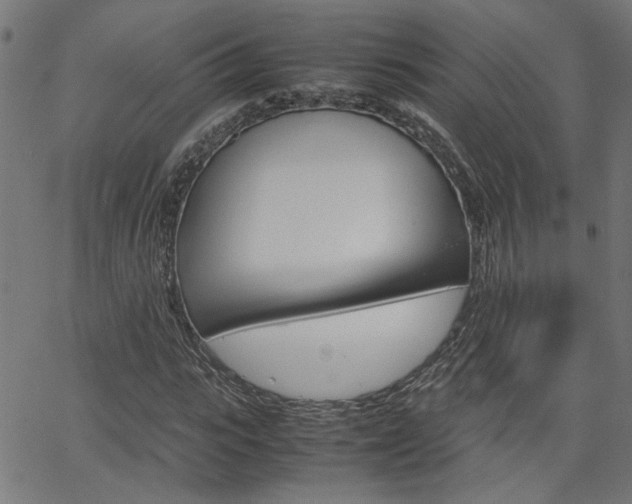 X0000066100919200603100934