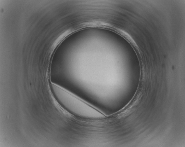 X0000066100946200603100935