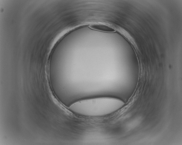 X0000066100958200603100935