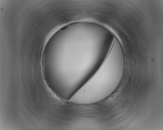X0000066100959200603100935