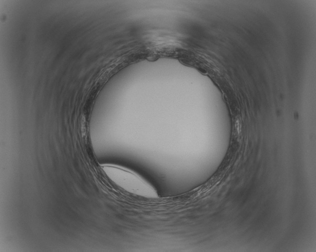 X0000066100963200603100934