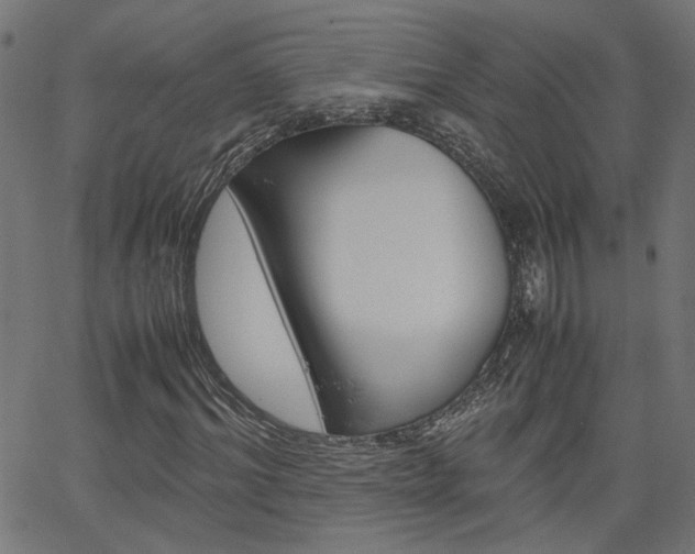 X0000066100964200603100934