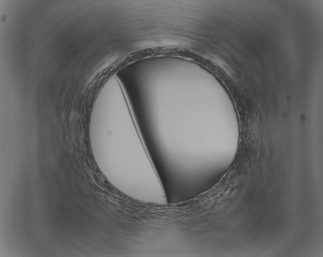 X0000066100967200603100934