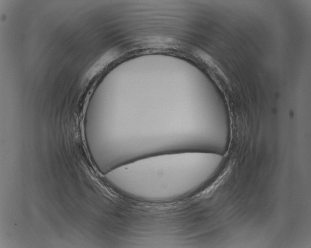 X0000066100970200603100934